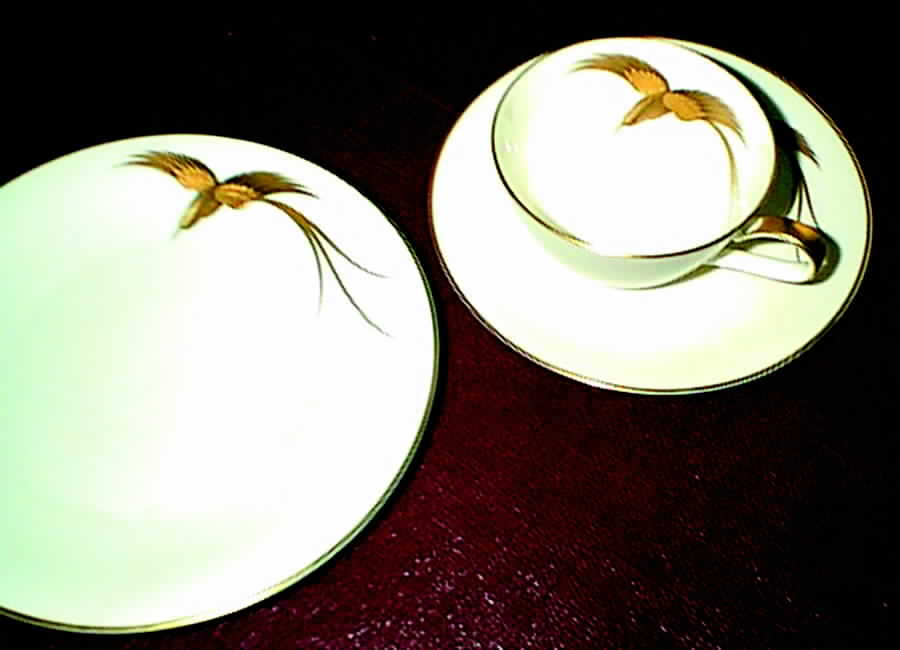HC684 Dinner Plate by Heinrich - H&C-1