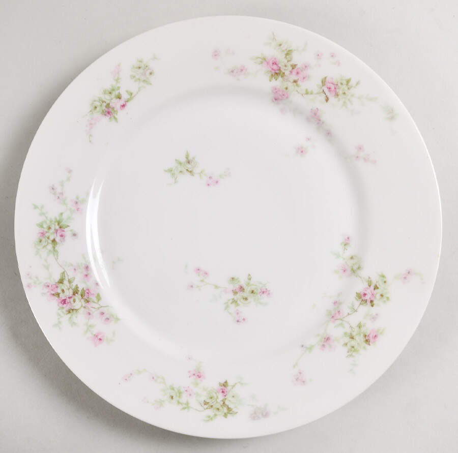 H1533 Dinner Plate by Haviland-1