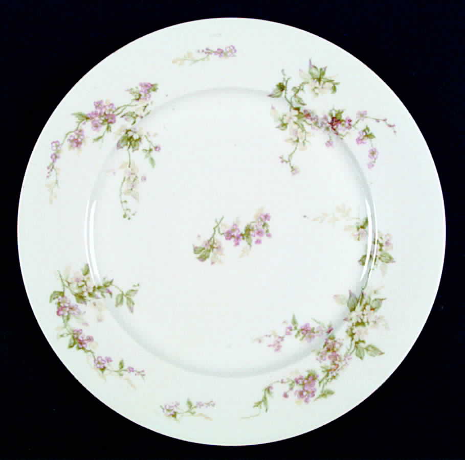 Schleiger 1240-4 Dinner Plate by Haviland-1