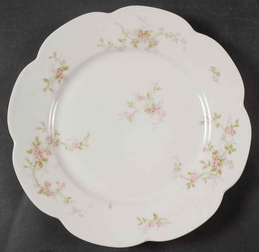 Schleiger 321-1 Dinner Plate by Haviland-1