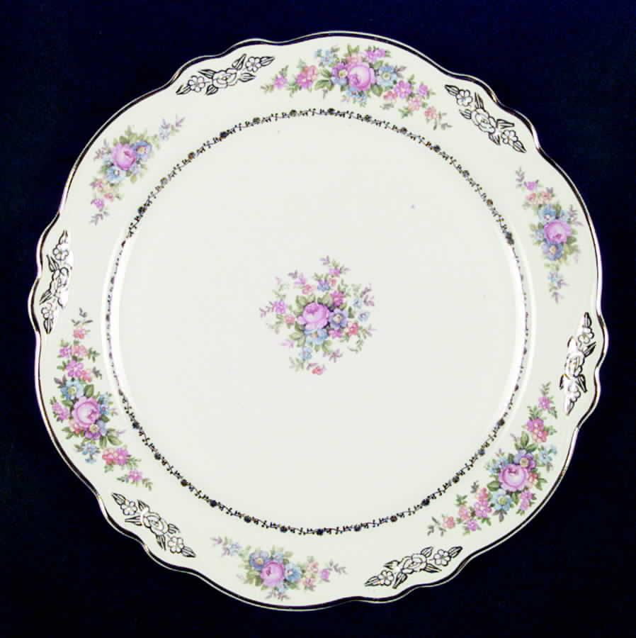 VR205 Dinner Plate by Homer Laughlin -1
