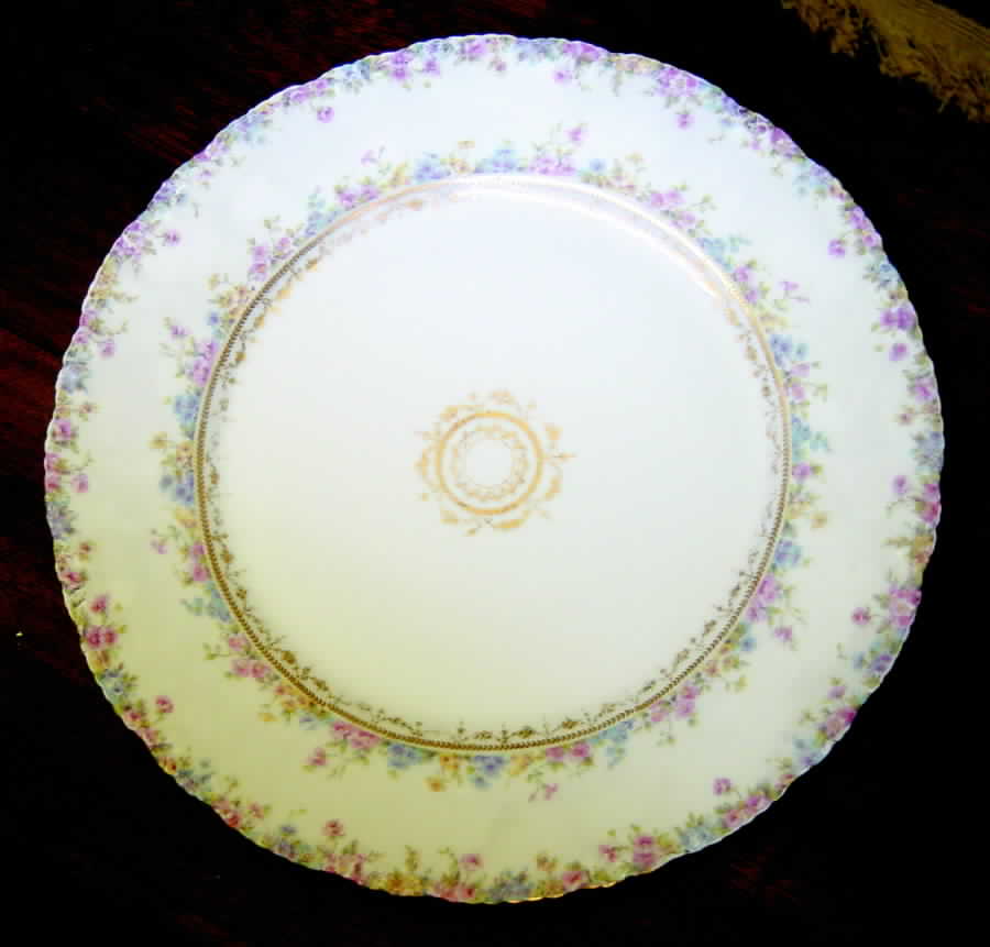 H1551 Dinner Plate by Haviland-1