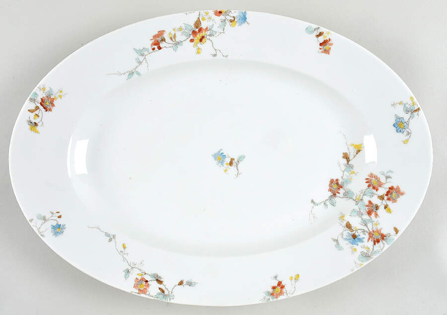 H1552 17" Oval Serving Platter by Haviland-1