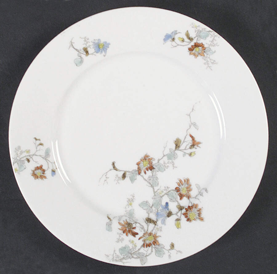 H1552 Dinner Plate by Haviland-1