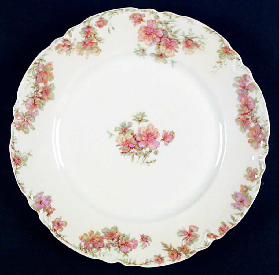 Schleiger 69-1 Dinner Plate by Haviland-1