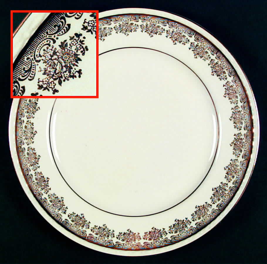 HLC2119 Dinner Plate by Homer Laughlin -1