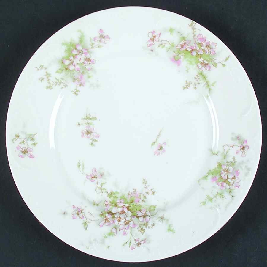 Schleiger 146-1 Dinner Plate by Haviland-1