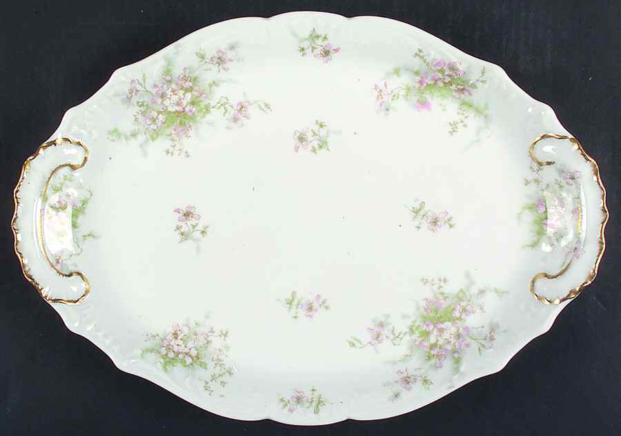 Schleiger 146-1 15" Oval Serving Platter by Haviland-1