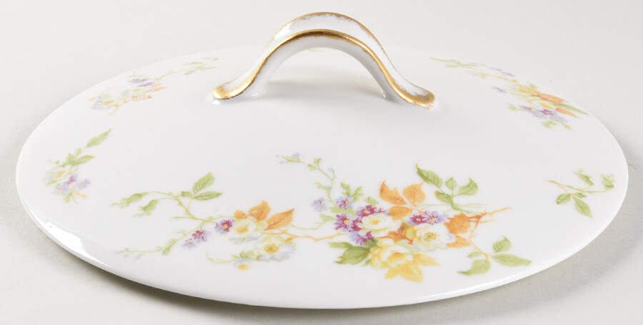 H1567 Lid for Round Vegetable by Haviland-1