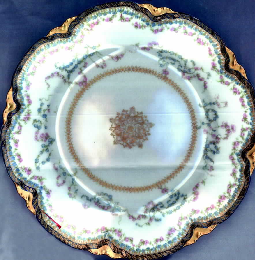Schleiger 914-1 Salad Plate by Haviland-1