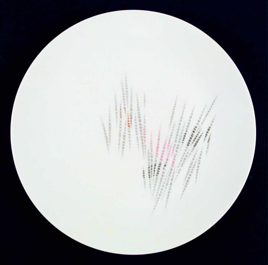 9054 Dinner Plate by Hutschenreuther-1