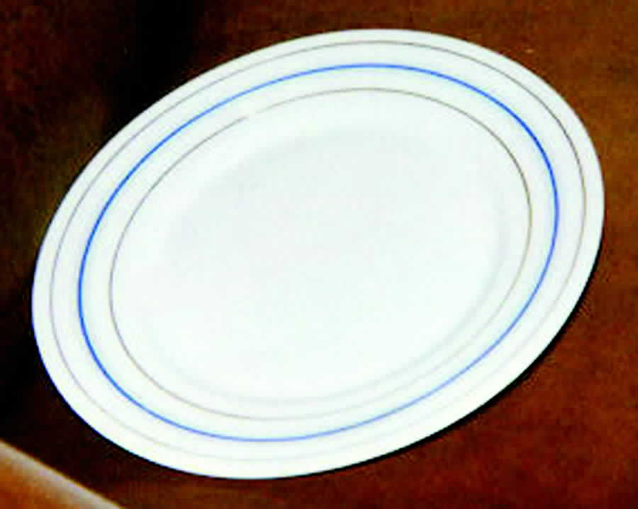 HRO17 Dinner Plate by Robert Haviland-1