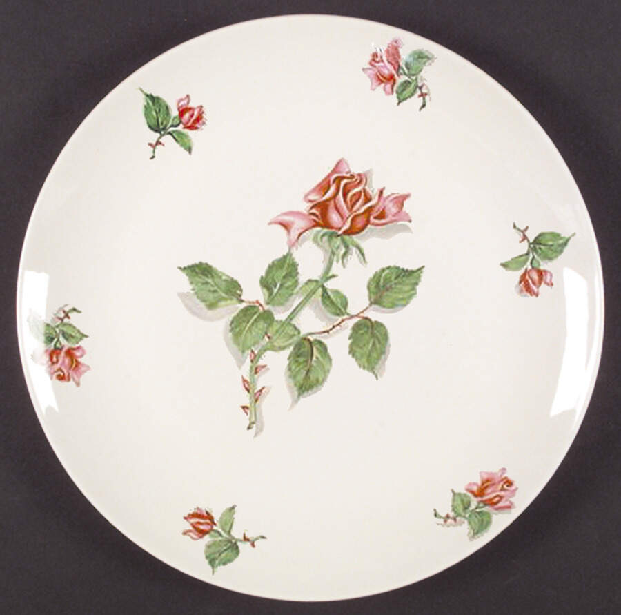 HLC2129 Dinner Plate by Homer Laughlin -1