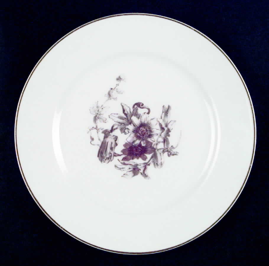 H1596 Luncheon Plate by Haviland-1
