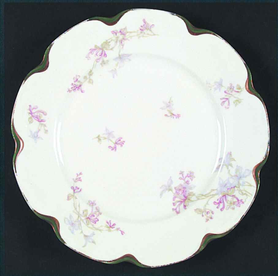 Schleiger 36-1 Dinner Plate by Haviland-1