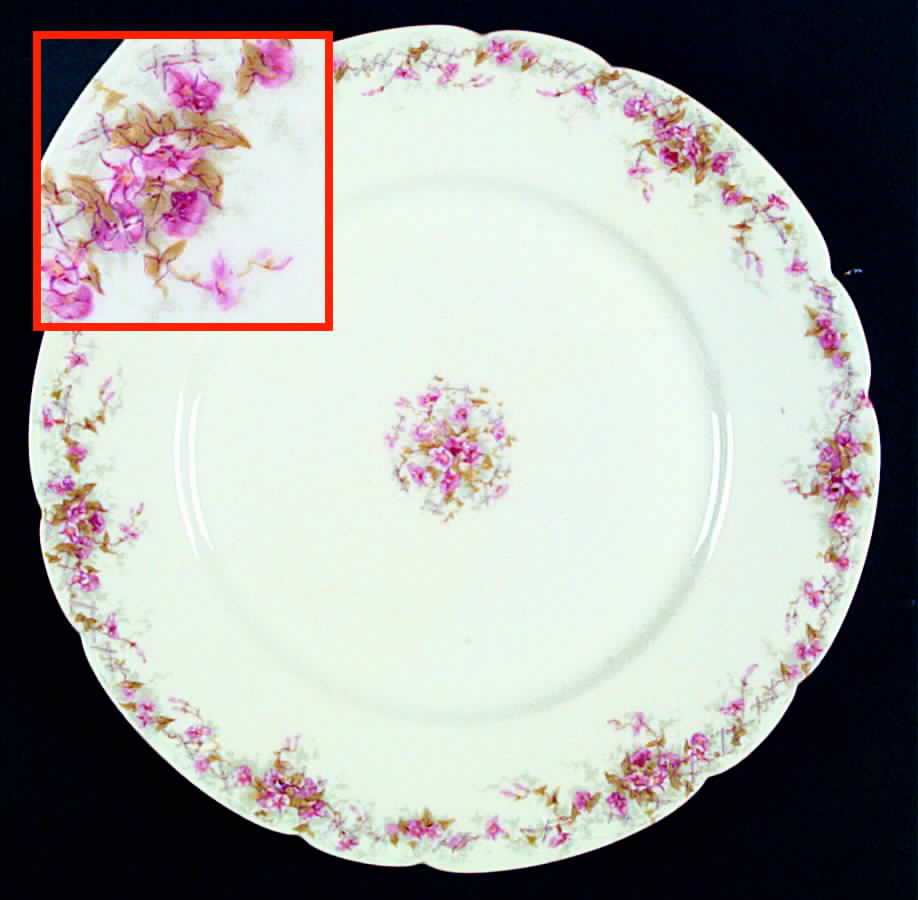 H1601 Dinner Plate by Haviland-1