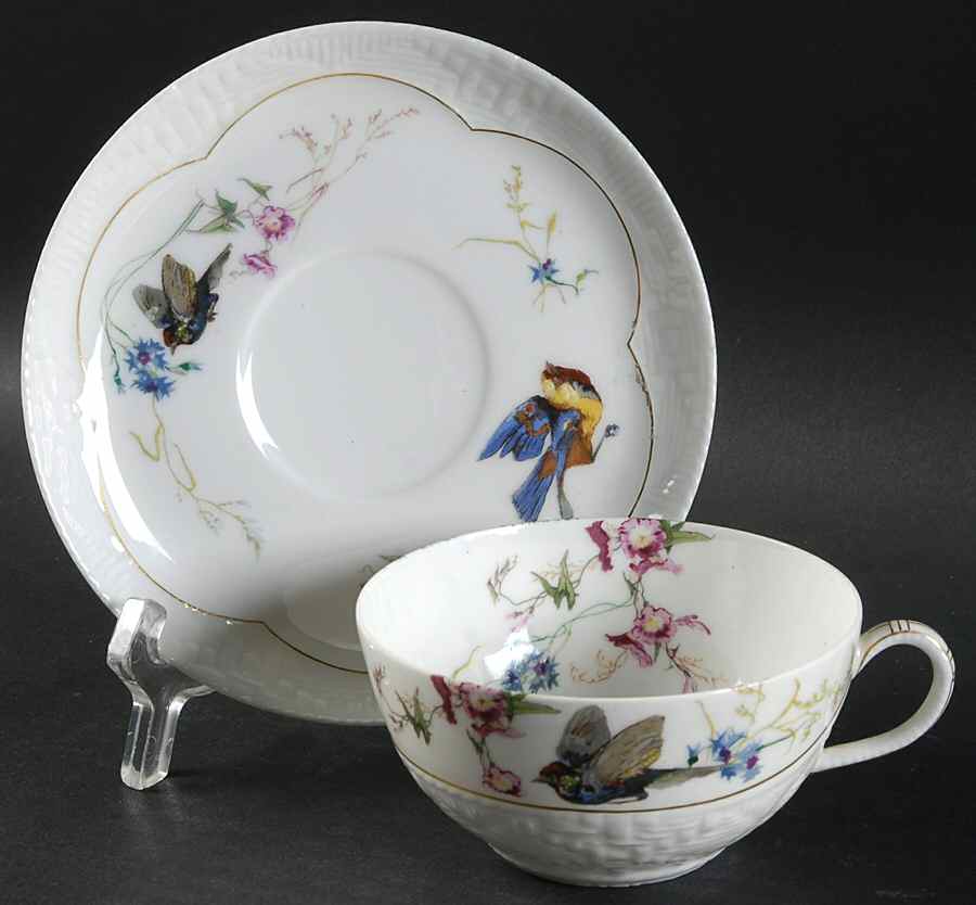 Meadow Visitors (Blank 211) Flat Cup & Saucer Set by Haviland-1
