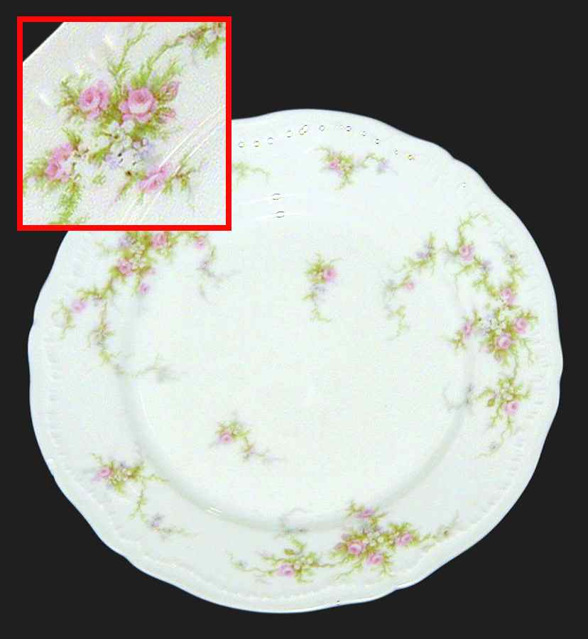 H1614 Luncheon Plate by Haviland-1