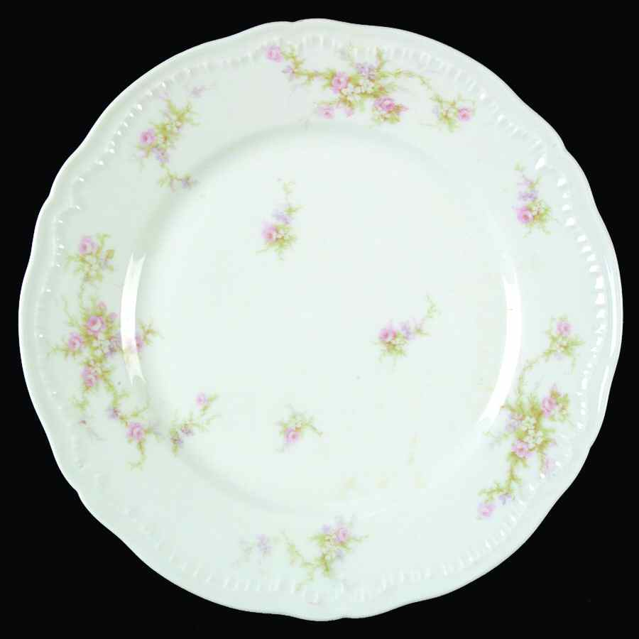 H1614 Dinner Plate by Haviland-1