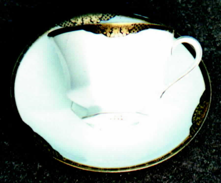 P4352 Footed Cup & Saucer Set by Hutschenreuther-1