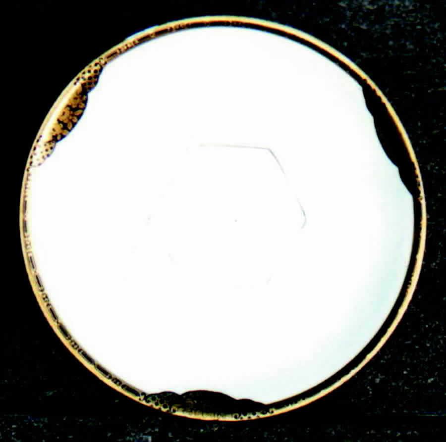 P4352 Saucer by Hutschenreuther-1