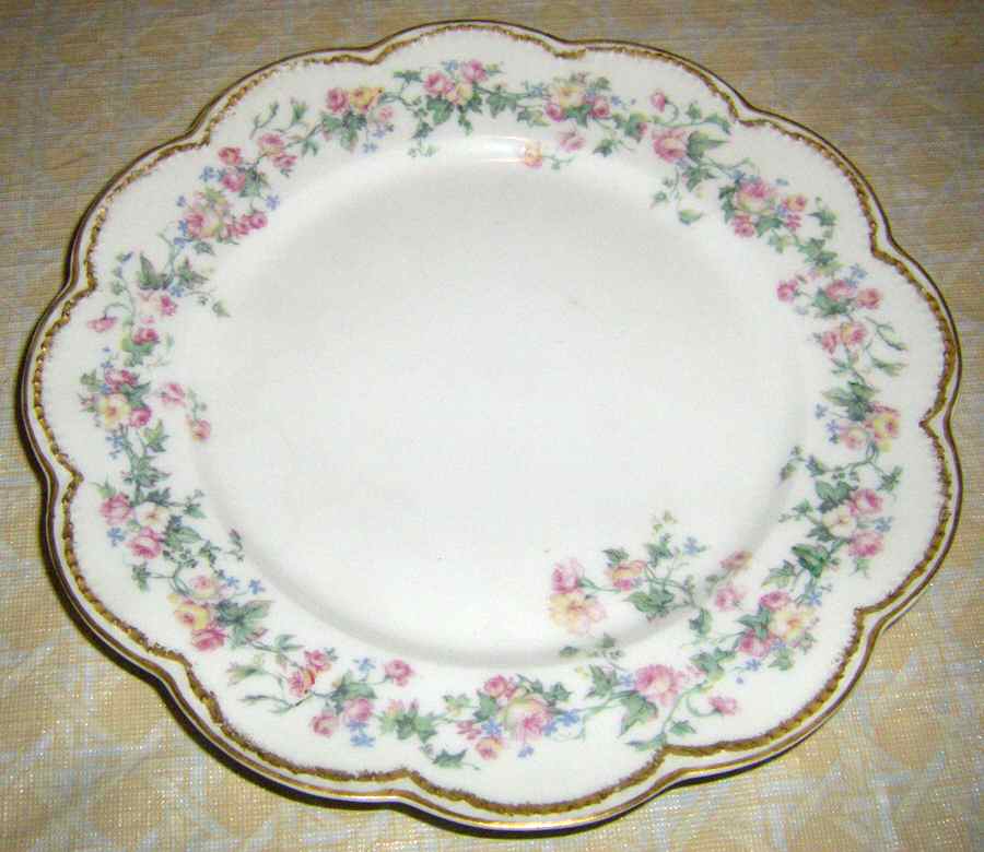 H1628 Dinner Plate by Haviland-1