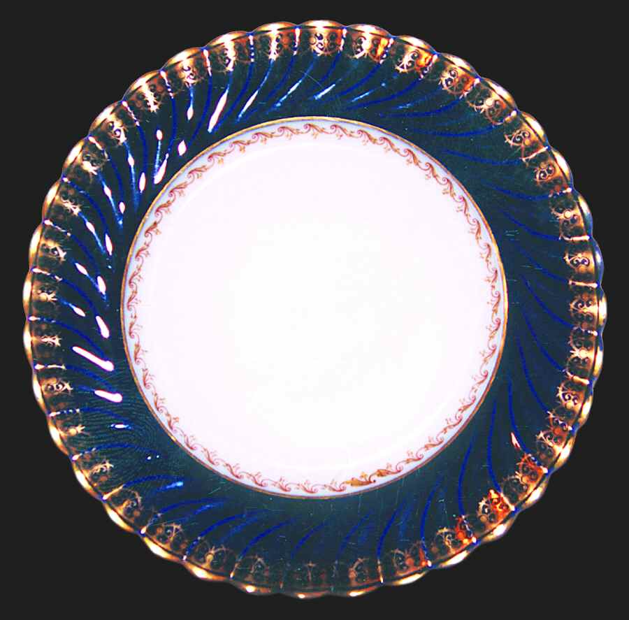 H1629 Dinner Plate by Haviland-1