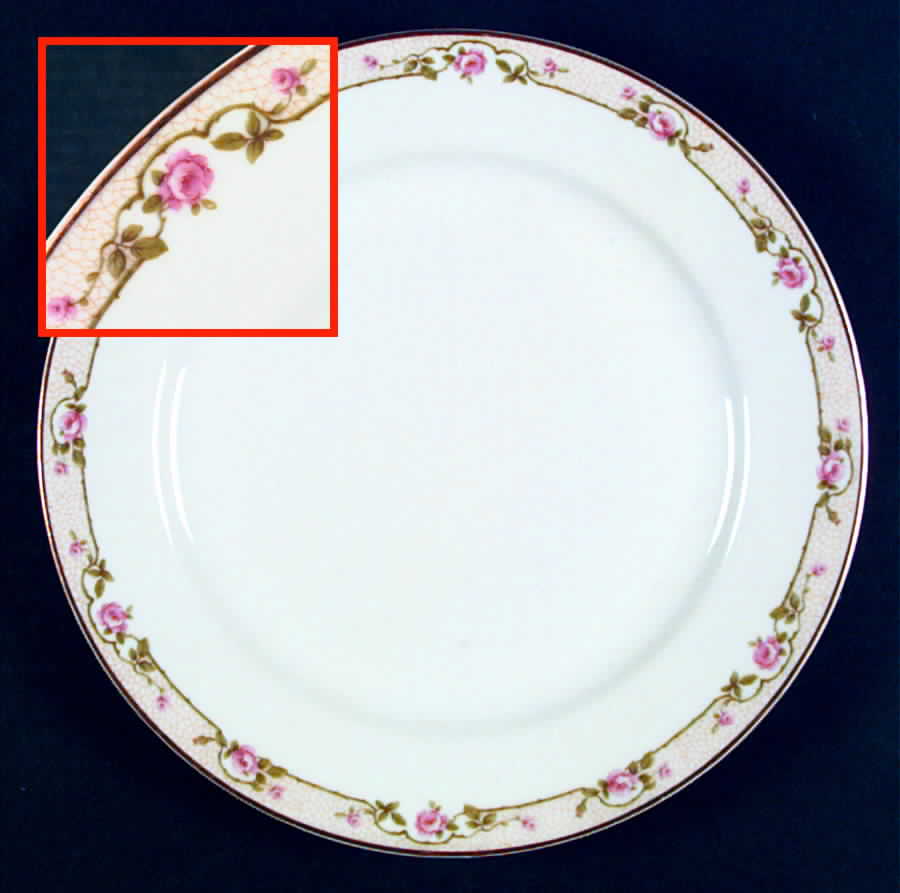 H1635 Dinner Plate by Haviland-1
