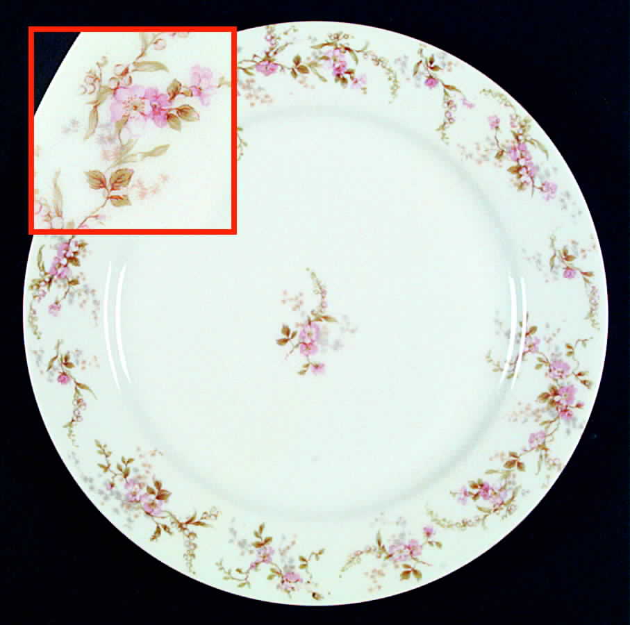 H1639 Dinner Plate by Haviland-1