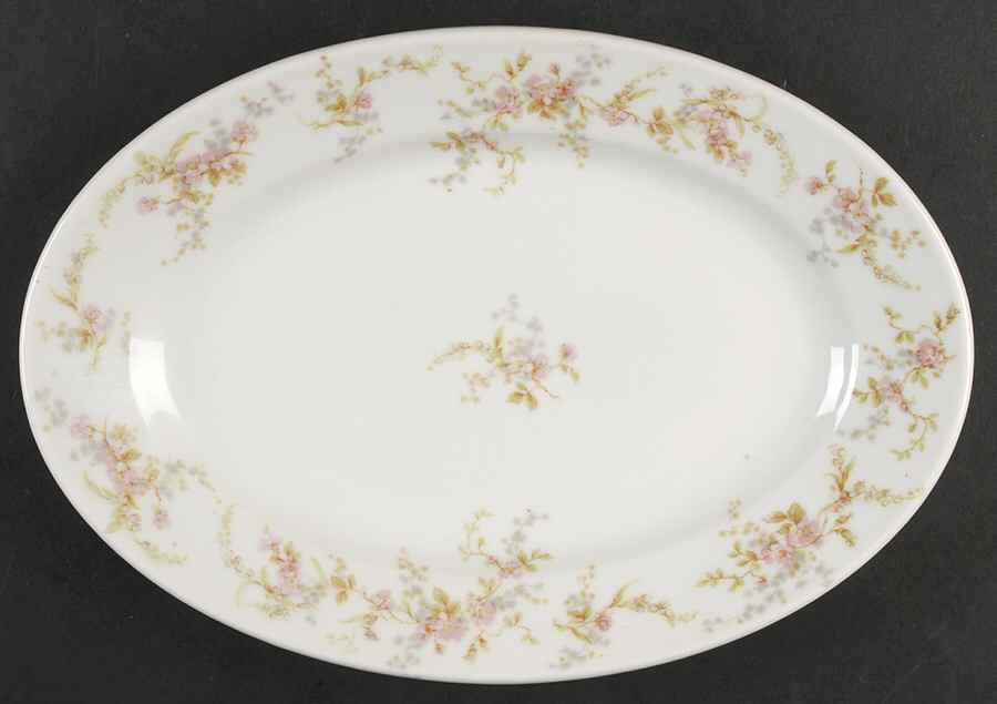 H1639 11" Oval Serving Platter by Haviland-1