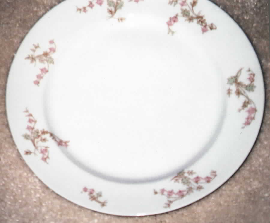 H1643 Luncheon Plate by Haviland-1