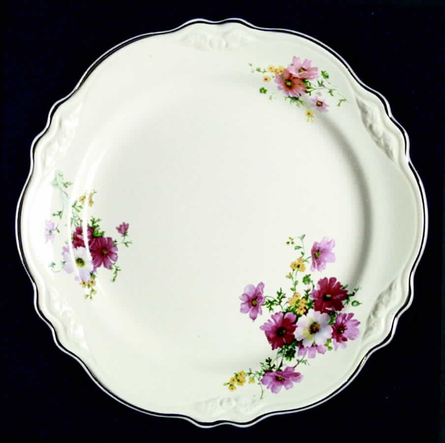 VR248 Dinner Plate by Homer Laughlin -1