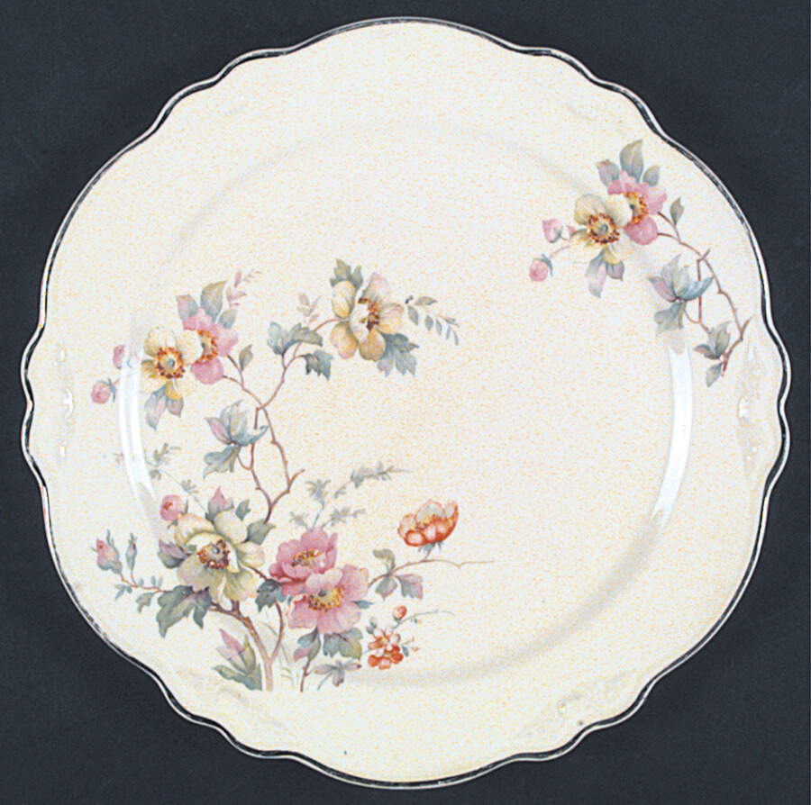 HLC2163 Dinner Plate by Homer Laughlin -1