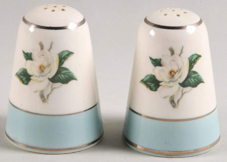 HLC3036 Salt & Pepper Set by Homer Laughlin -1