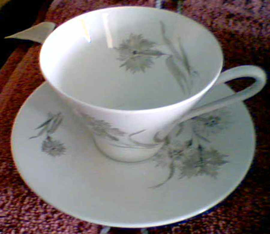 HUT977 Flat Cup & Saucer Set by Hutschenreuther-1