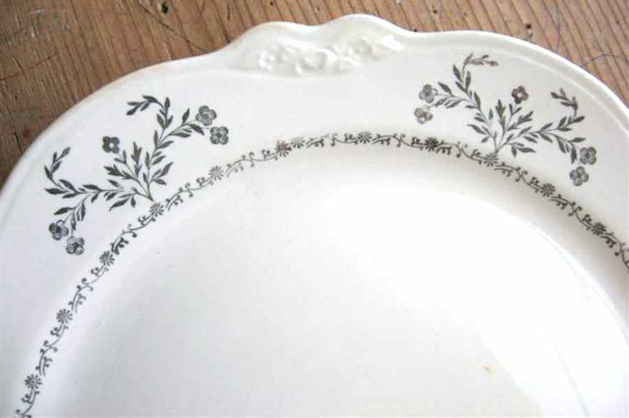 HLC3047 Dinner Plate by Homer Laughlin -1