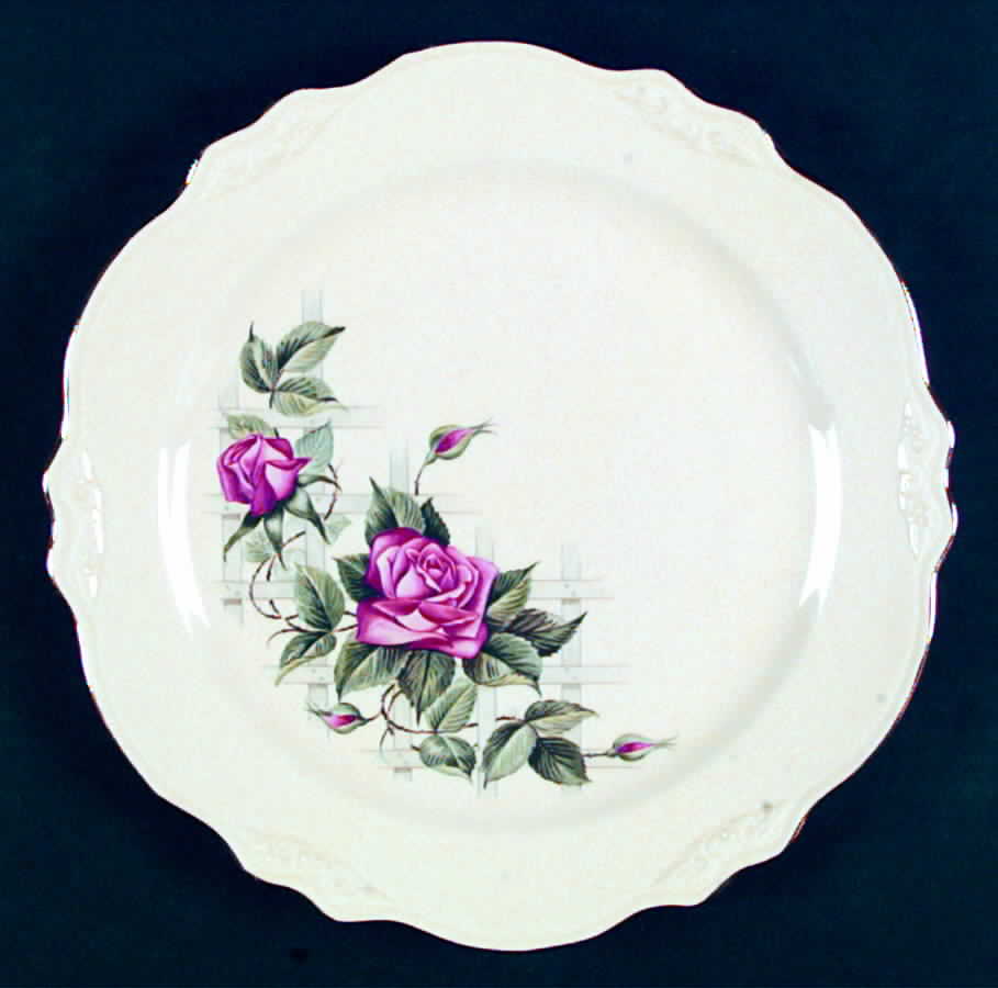 HLC3059 Dinner Plate by Homer Laughlin -1