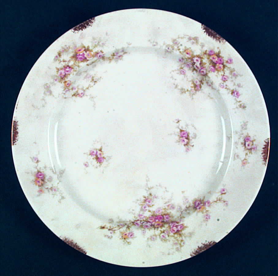 Schleiger 149-2 Dinner Plate by Haviland-1