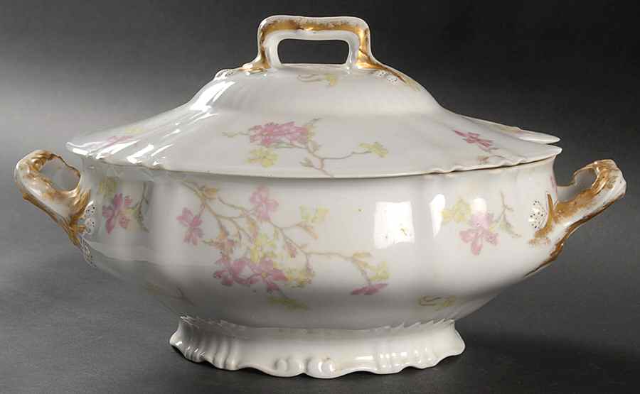 H1671 Oval Tureen & Lid by Haviland-1