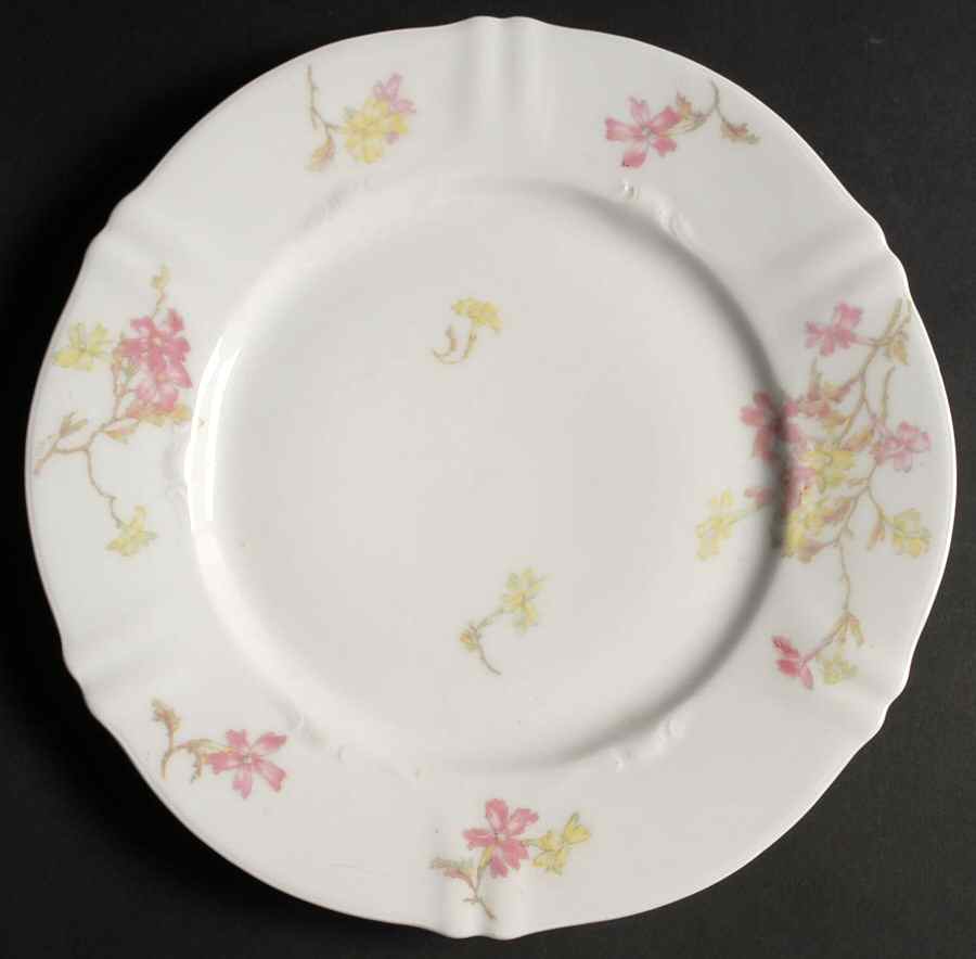 H1671 Dinner Plate by Haviland-1