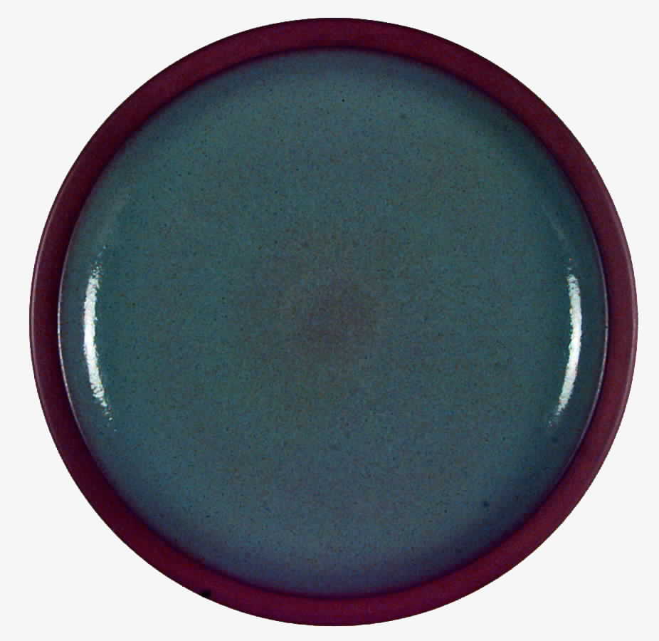 Celadon (Rim Shape) Dinner Plate by Heath-1