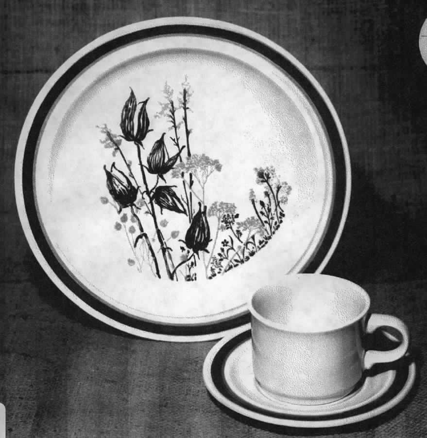 Cannes Flat Cup & Saucer Set by Homer Laughlin -1