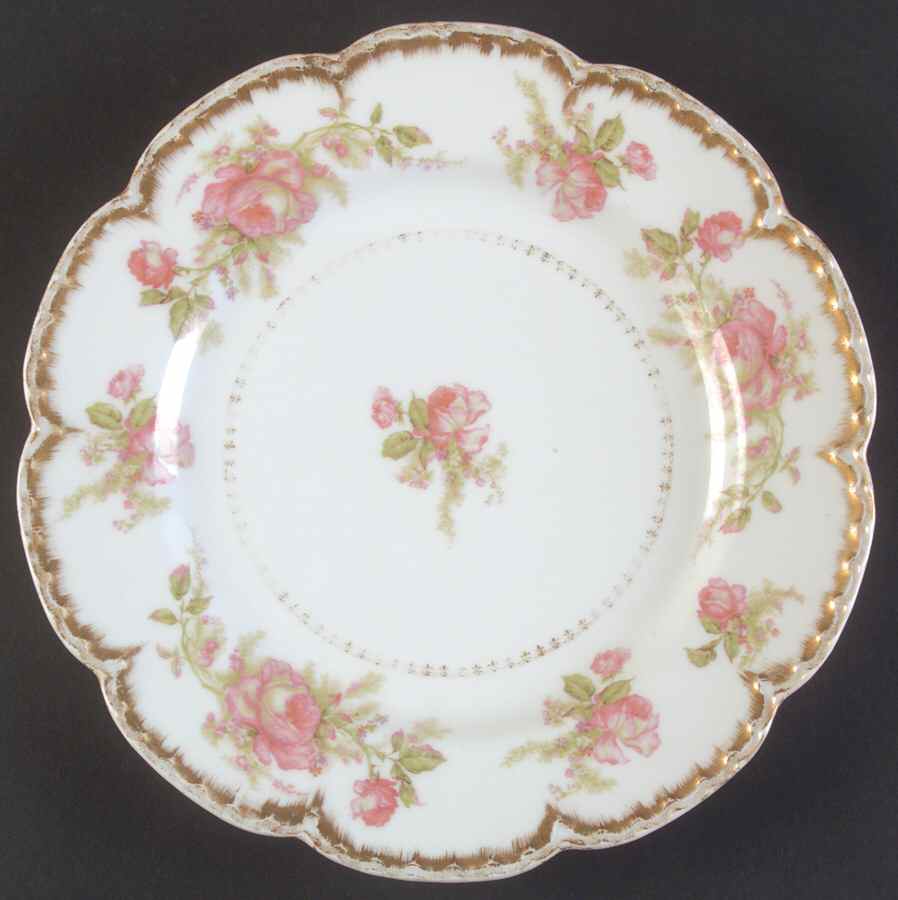 Schleiger 257-1 Dinner Plate by Haviland-1