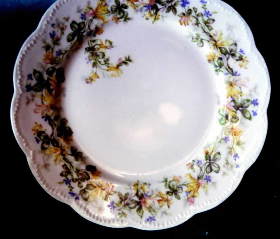 H1697 Salad Plate by Haviland-1