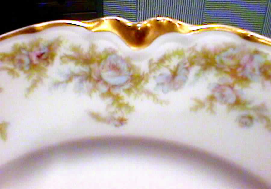 Schleiger 742-1 Dinner Plate by Haviland-1