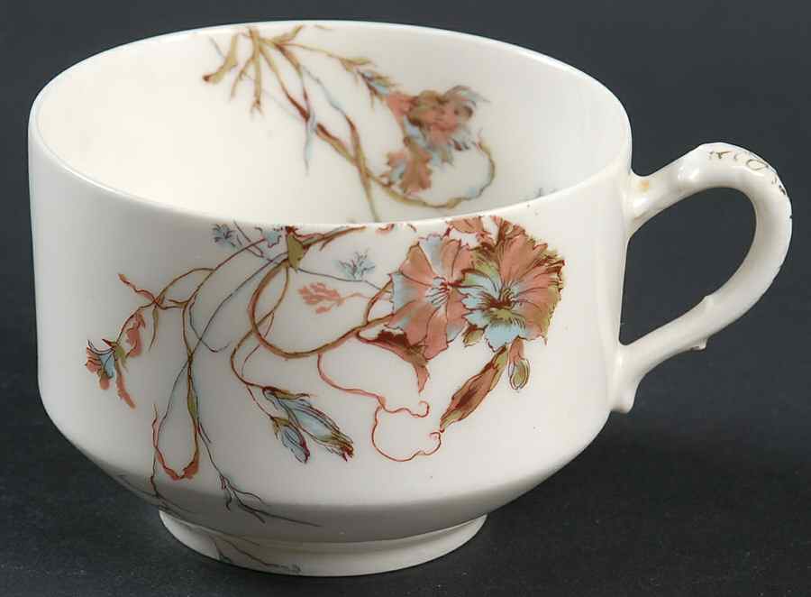 Schleiger 1152-9 Flat Cup by Haviland-1