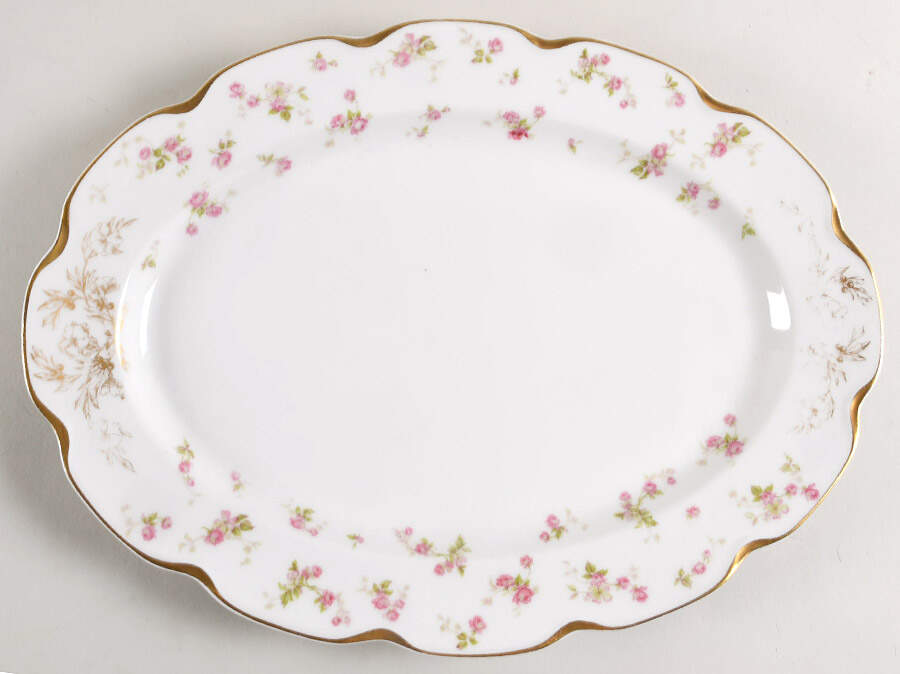 H1702 14" Oval Serving Platter by Haviland-1