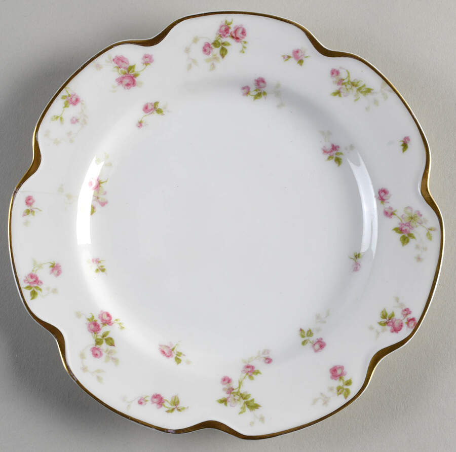 H1702 Salad Plate by Haviland-1