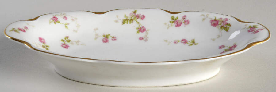 H1702 Relish by Haviland-1