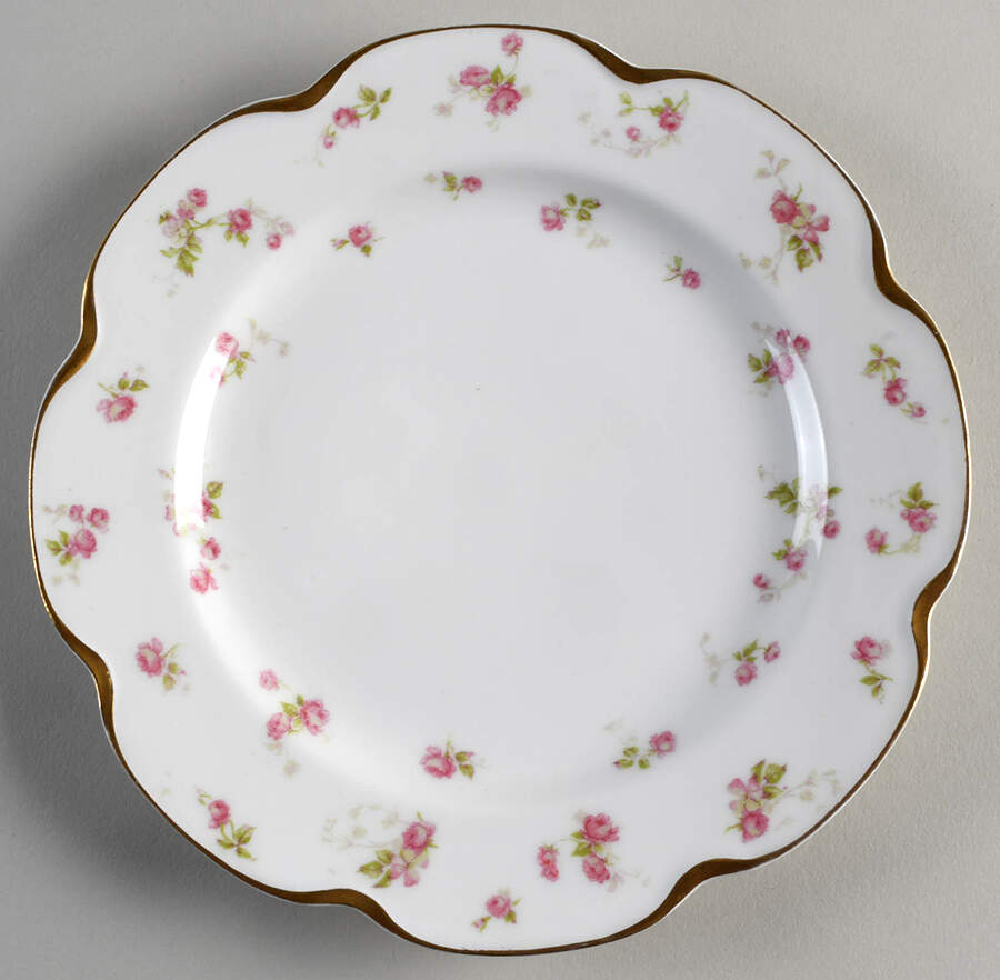 H1702 Luncheon Plate by Haviland-1